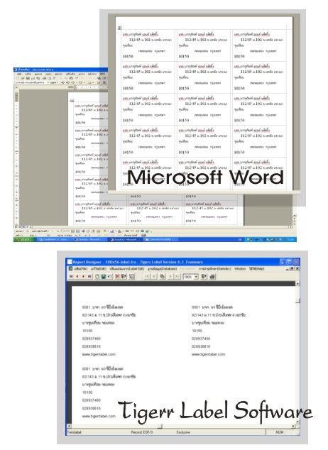 Tigerr Label Software
